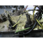Audi A3 Volkswagen Bora ABS Beyni 10.0960-0335.3 1J0614517J 10.0206-0069.4 1C0907379M