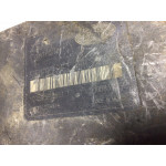 Land Rover Freelander ABS Beyni 10.0204-0355.4 SRB000200A0066 10.0925-0851.3 00008327E1