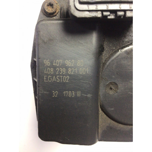 Citroen C2 C3 Peugeot Gaz Kelebeği 408239821001 9640796280
