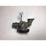 Renault Clio Dacia Dokker Lodgy Gaz Kelebeği 161A05457R