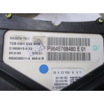Peugeot 307 Benzinli Kilometre Saati Gösterge Paneli P9636708280C