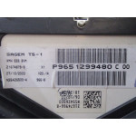 Peugeot 307 Benzinli Kilometre Saati Gösterge Paneli P9651299480C