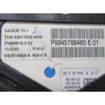 Peugeot 307 Benzinli Kilometre Saati Gösterge Paneli P9645768480E