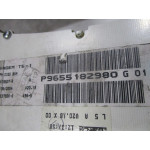 Peugeot 307 Dizel Kilometre Saati Gösterge Paneli P9655182980 G
