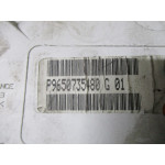 Citroen C2 C3 Benzinli Kilometre Saati Gösterge Paneli P9650735480G
