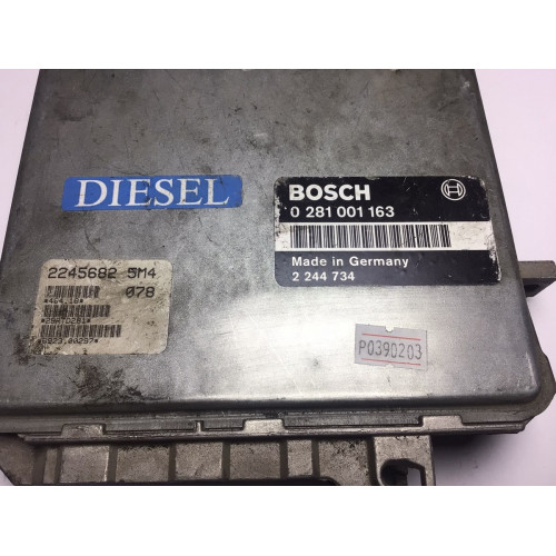 BMW E34 5.25 Motor Beyni 0281001163 2244734