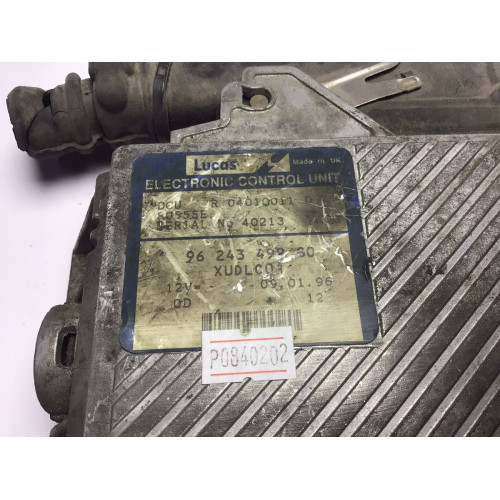 Peugeot Motor Beyni 9624349980 R04010011D