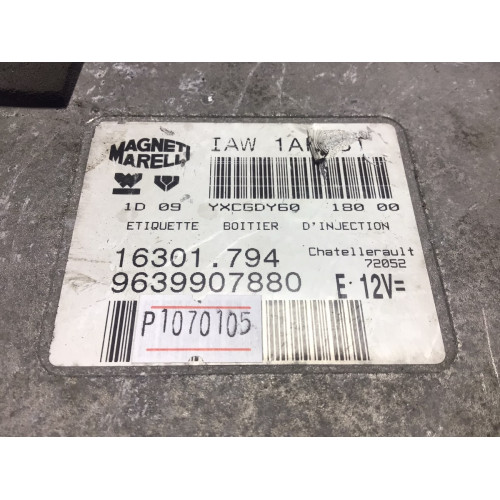 Peugeot 206 1.4 Motor Beyni 9639907880 IAW1AP.81