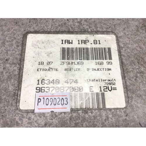 Peugeot 206 Motor Beyni 9637087080 IAW1AP.81