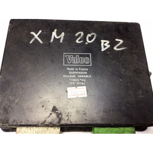 Citroen Süspansiyon Beyni 73800802 