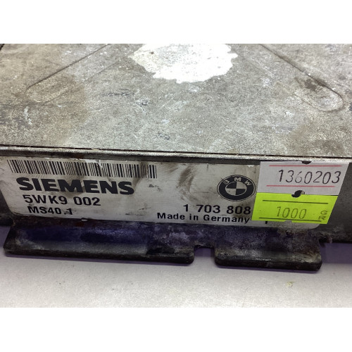 BMW E36 E46 Motor Beyni 5WK9002 1703808 MS40.1