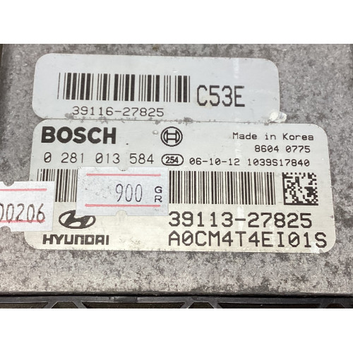 Hyundai Santa Motor Beyni 0281013584 39113-27825 39116-27825