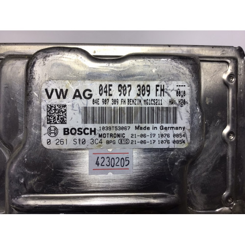 Volkswagen Golf Motor Beyni 04E907309FH 0261S103C4