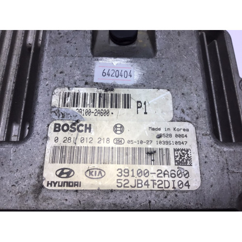 Kıa Rio Motor Beyni 0218012218 39100-2A600 39100-2A600